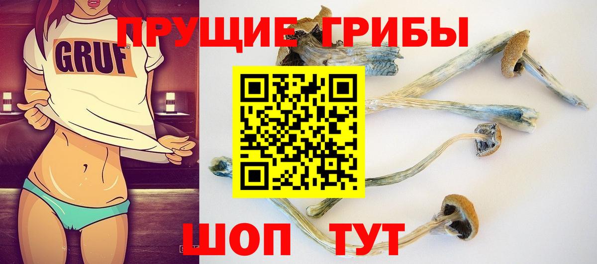 Псилоцибиновые грибы Cubensis Новокуйбышевск