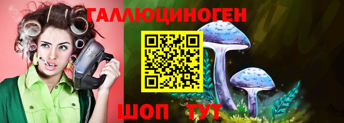 Галлюциногенные грибы Psilocybine cubensis  Вход с VPN  Новокуйбышевск  Псилоцибиновые грибы мицелий 