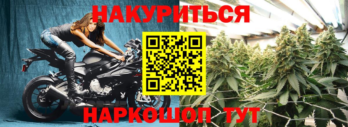 Марихуана Bruce Banner Новокуйбышевск